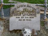 image of grave number 646232